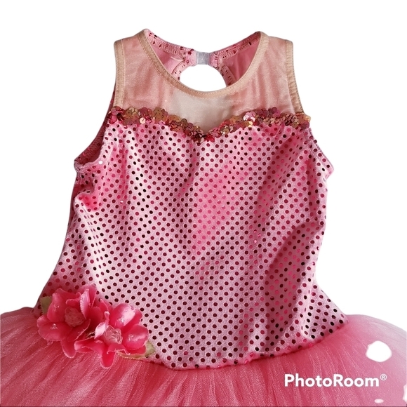 A WISH COME TRUE Gala Pink Ballet Leotard Tutu Dress Dance - Picture 4 of 15